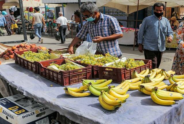 الموز في تونس