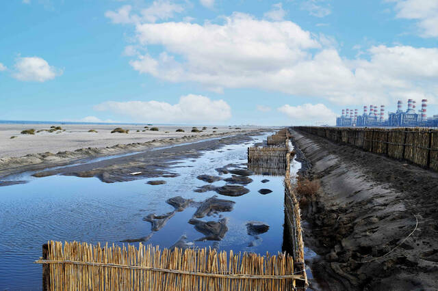 حماية الشواطئ في مصر