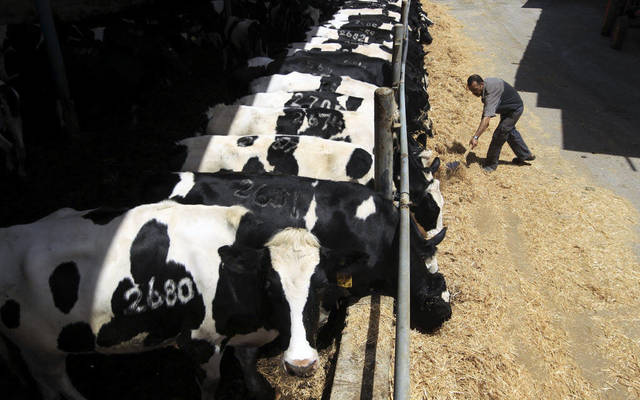 Livestock Transport FY17 profits fall; dividends proposed