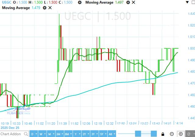 أداء الصعيد العامة للمقاولات