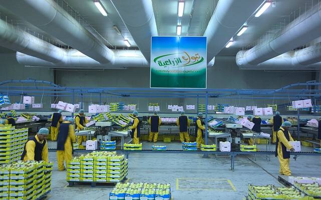 "تبوك الزراعية" توقع عقداً مع "وفرة" لبيع منتجات البطاطس التصنيعية