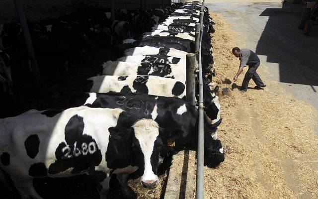 Livestock Transport inks KWD 28m industrial loan
