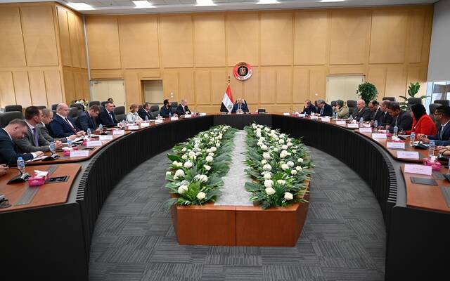 كامل الوزير نائب رئيس مجلس الوزراء للتنمية الصناعية وزير الصناعة والنقل