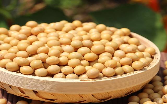 Report: China to buy US soybean after trade talks