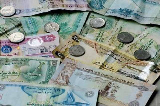 UAE mulls issuing federal bonds by 2018 - Ministry