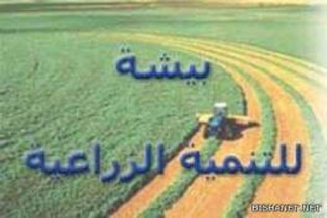 عمومية "بيشة" تقر استمرار الشركة 