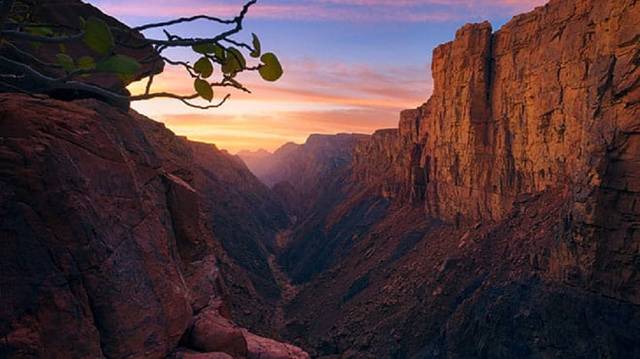 KSA to open UNWTC regional office in Riyadh