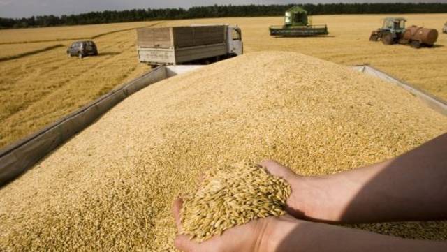 السعودية والإمارات تدعمان السودان بـ540 ألف طن من القمح