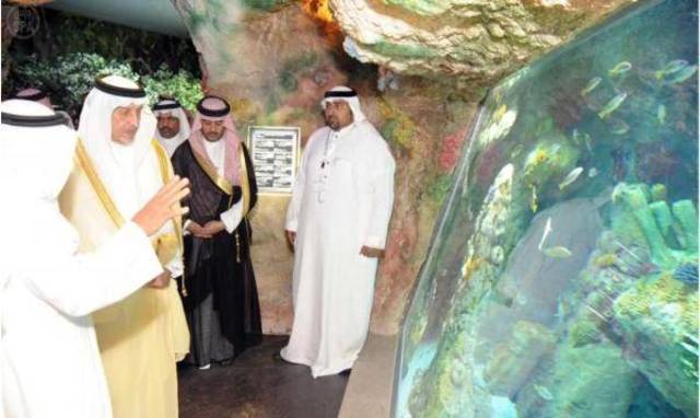 خالد الفيصل يدشِّن أول مشروع سياحي مائي على كورنيش جدة