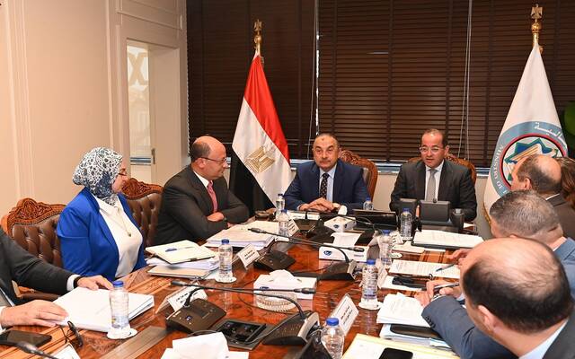 مصر.. تنسيق حكومي لرفع كفاءة شركات قطاع الأعمال واستغلال الأصول بأعلى عائد