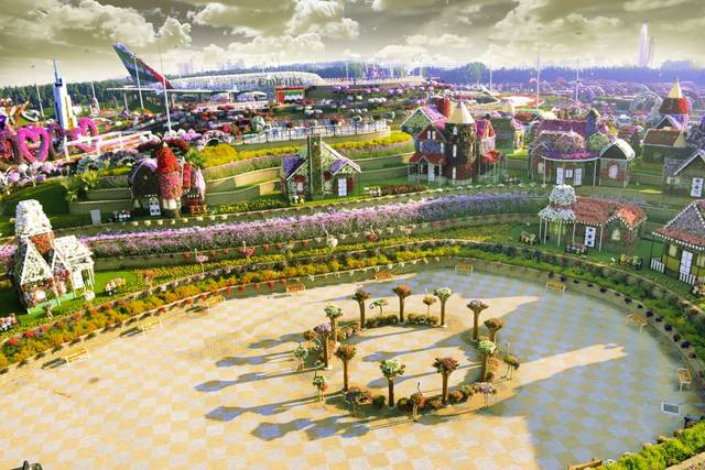 صور حديقة الـ50 مليون زهرة الأكبر بالعالم في دبي معلومات مباشر