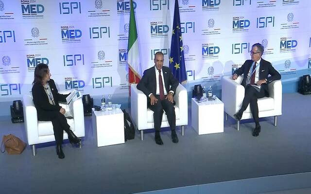 بدر عبد العاطي وزير الخارجية والهجرة المصري