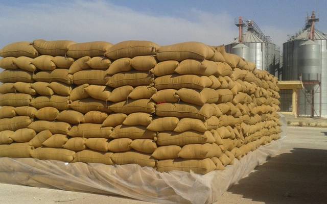 Iraq seeks to buy 50 thousand tons of wheat in a global tender