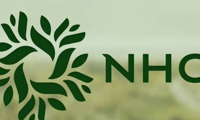 NHC mulls offering subsidiaries for public subscription – CEO at RFF2025