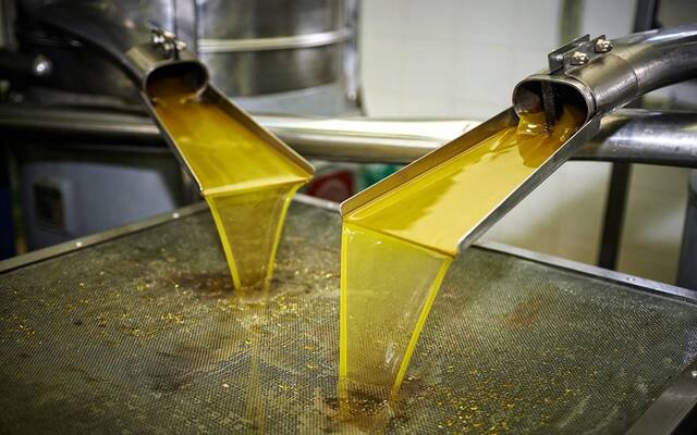 تدويرزيوت الطعام المستعملة