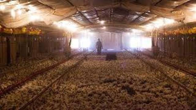 الصورة من رويترز - أريبيان آي