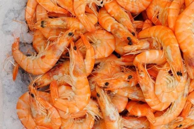 Saudi Arabia exports frozen shrimp to China