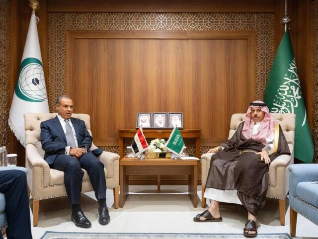 جانب من لقاء الوزيران
