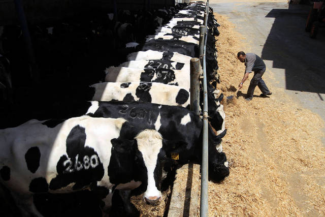 The company earned EGP4.9 million in 2015 (Photo Credit: Reuters)