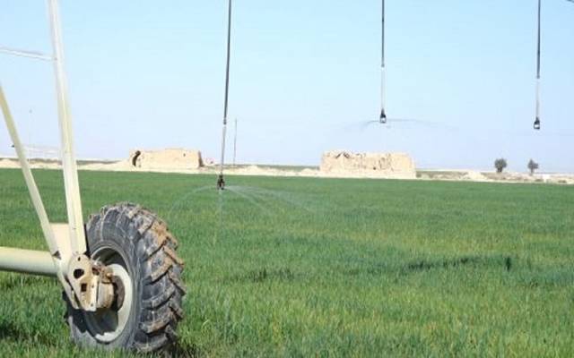 الزراعة العراقية تعلق على تقليص دعم الفلاحين بموازنة 2021