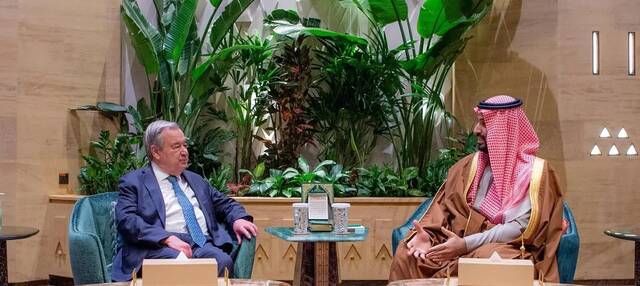 جانب من اللقاء