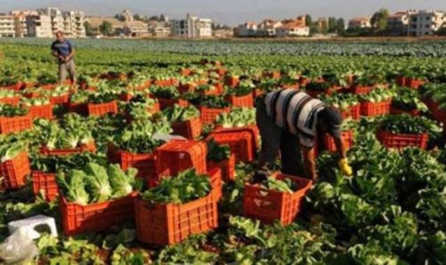 صادرات مصر الزراعية تسجل 2.8 مليون طن منذ بداية 2018