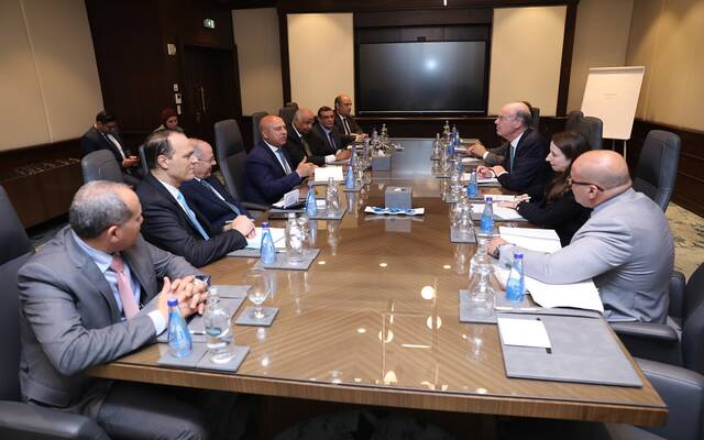 مصر تبحث مع فرنسا التعاون في مجالي النقل والصناعة