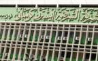 ارشيفية
