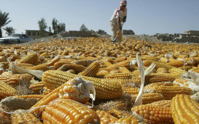 عمومية "المنتجات الزراعية" تقر توزيع 90 مليون دينار على المساهمين