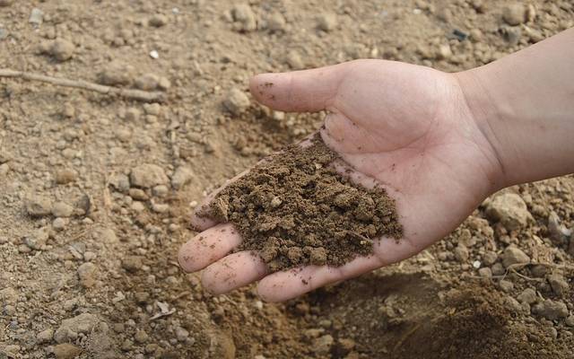 السعودية تطلق تطبيق "مرشدك الزراعي" لتحليل عينات التربة والمياه