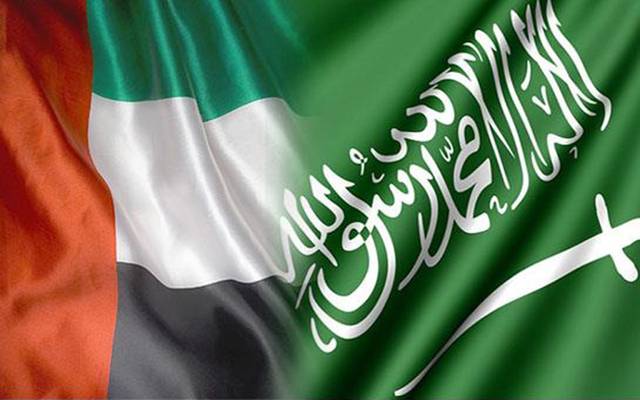 الإمارات والسعودية تبحثان تعزيز التعاون العسكري
