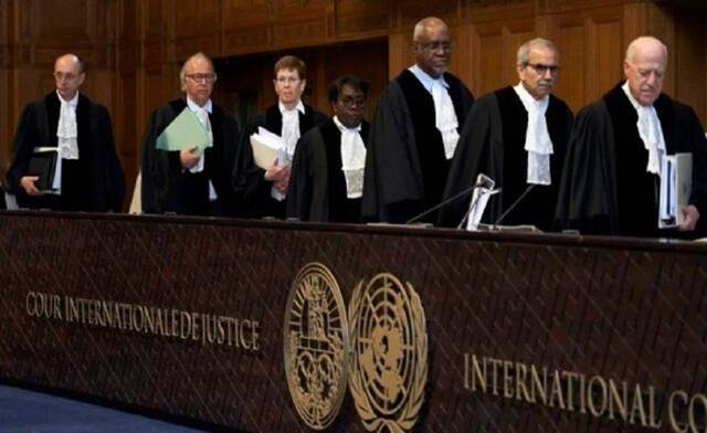 ممثل جنوب أفريقيا أمام محكمة العدل الدولية: نعمل على وقف الإبادة الجماعية في غزة