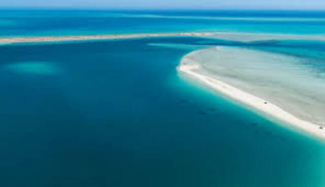 "رأس شقير".. مصر تسعى لجذب استثمارات خليجية عبر تفعيل الصكوك السيادية