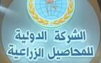 ارشيفية