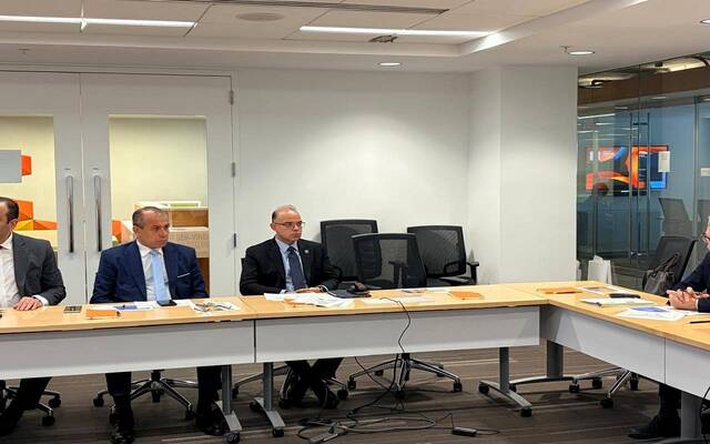 الدكتور محمد فريد وزير الاستثمار والتجارة الخارجية المصري