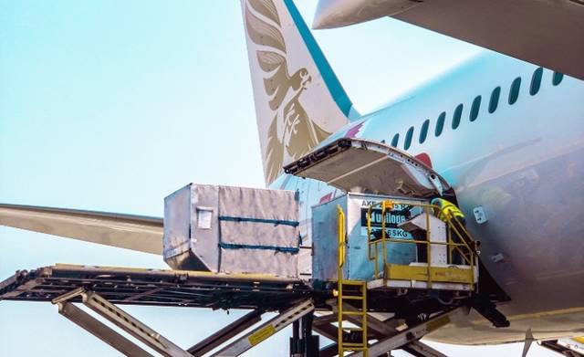 "طيران الخليج" تتعاون مع "أوول فود" لنقل شحنة غذائية أوروبية للبحرين