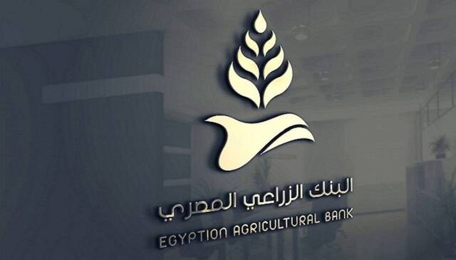 رجال الأعمال المصريين: تشكيل لجنة مع البنك الزراعي لتحديد تكلفة إنتاج المحاصيل