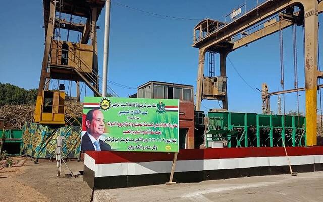 بدء موسم توريد القصب في المنيا