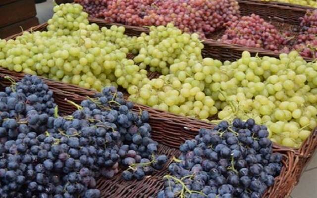 تبوك تتصدّر إنتاج المملكة من العنب بنسبة 38%