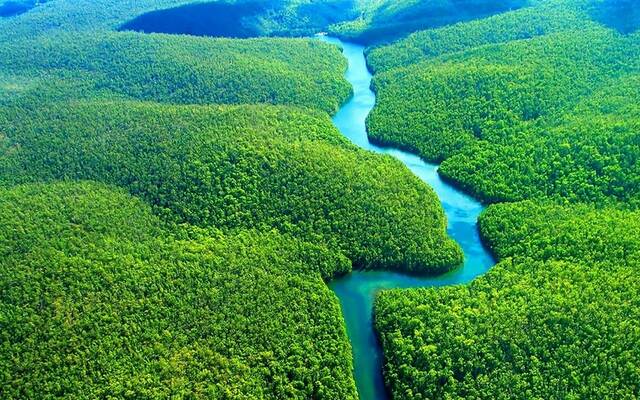 البرازيل تطلق خطة بقيمة 125 مليار دولار لحماية الغابات الاستوائية