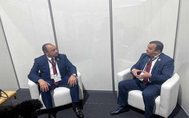 جانب من مباحثات مصرية جزائرية