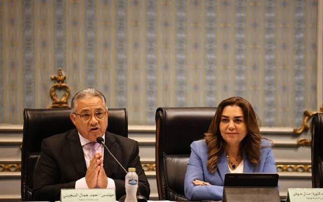 الدكتورة منال عوض وزيرة التنمية المحلية المصرية