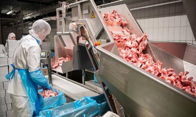 إنتاج اللحوم المصنعة