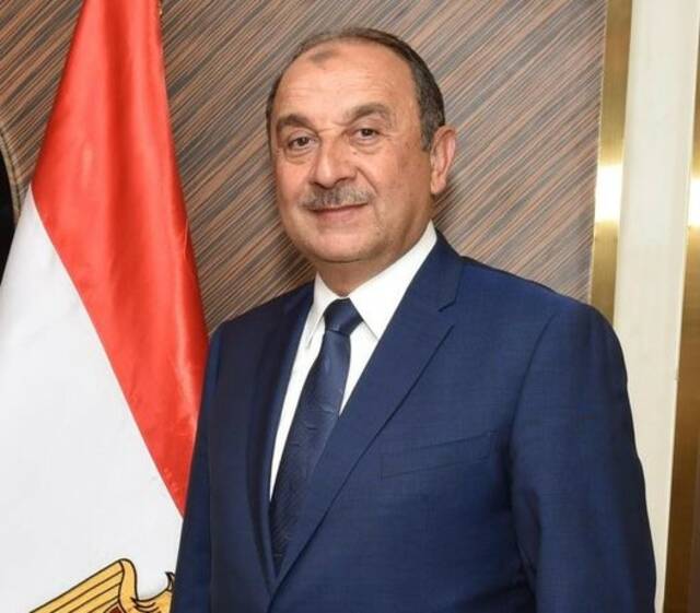 وزير قطاع الأعمال محمد شيمي