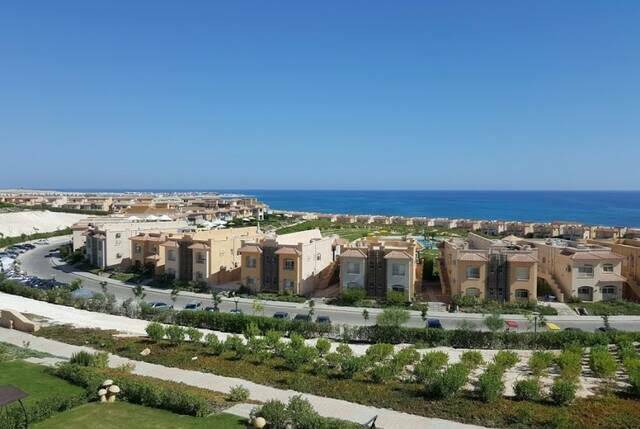 ارشيفية