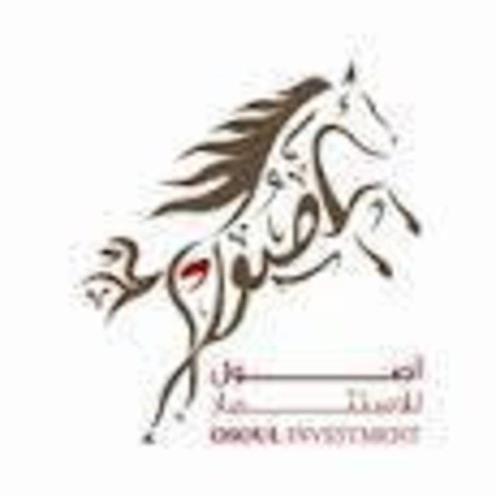 OSOUL to auction off 10 mln shares of Al Ritaj Mubasher Info