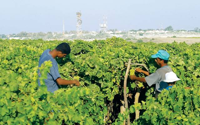 حققت الشركة خسائر بـ3.2 مليون جنيه من يوليو 2017 إلى مارس 2018