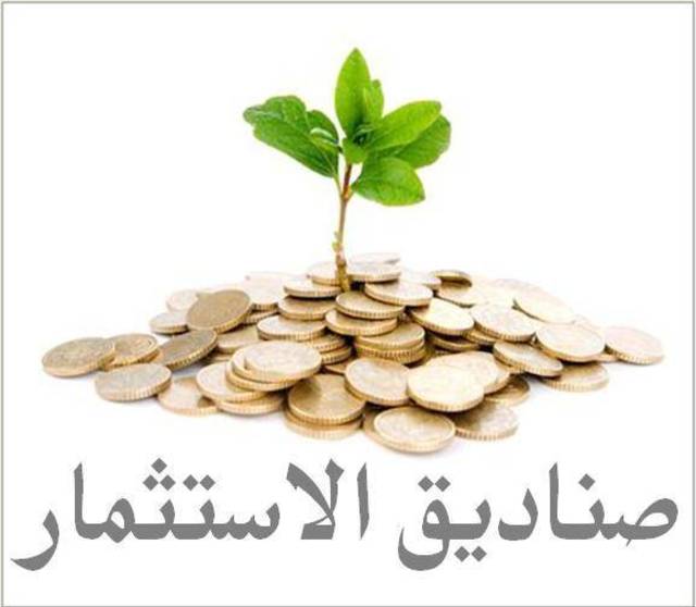  على راديو مباشر ..صناديق الاستثمار تسجل أداء أقل من EGX30 خلال السنوات الخمس الماضية  