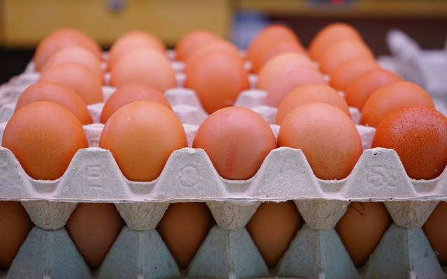 المشروع لإنتاج بيض المائدة بمحافظة البريمي