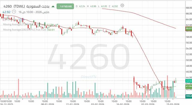 الأداء اليومي لسهم "بدجت السعودية"